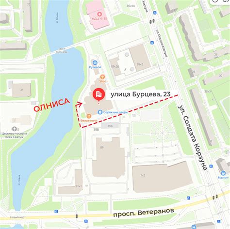 О компании Олниса.